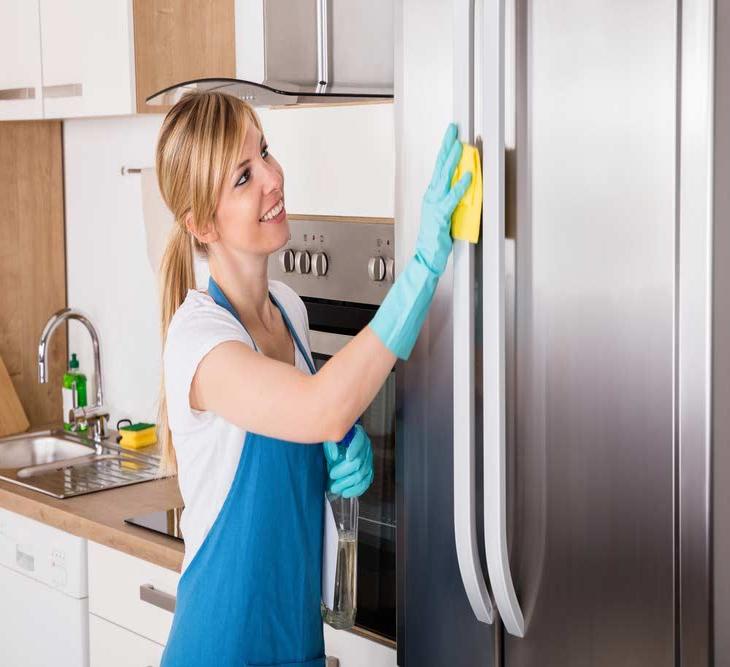 Clean refrigerator surface