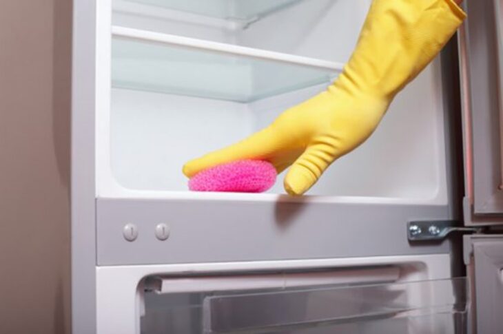 Chỉ 20 phút bạn đã có một chiếc tủ lạnh sạch bóng với 5 bước sau đây