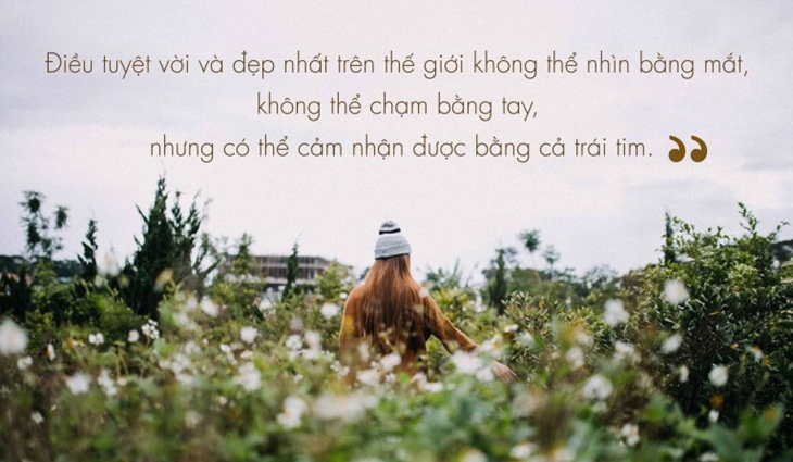 Những câu nói hay về cuộc sống tươi đẹp