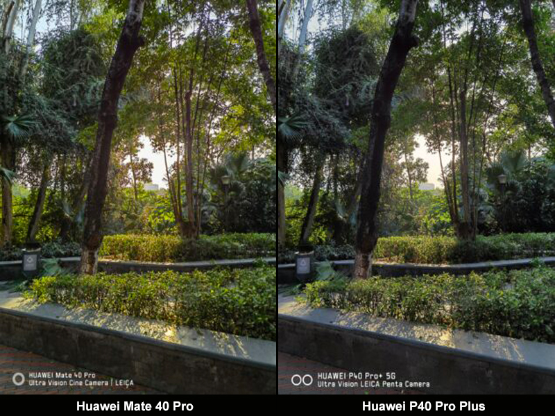 So sánh ảnh camera chính giữa Huawei Mate 40 Pro và Huawei P40 Pro Plus