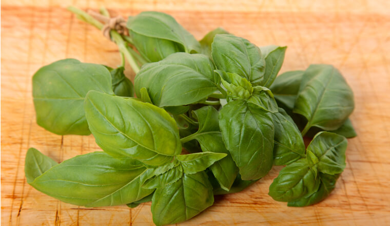 Húng tây (Basil) là gì? Công dụng và cách sử dụng húng tây Húng Tây (Basil) Là Gì? Công Dụng Và Cách Sử Dụng Húng Tây