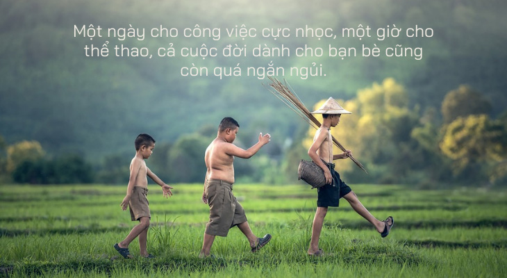 80 Những Cau Noi Hay Về Tinh Bạn Than Bạn đểu Tham Thuy Va Y Nghĩa