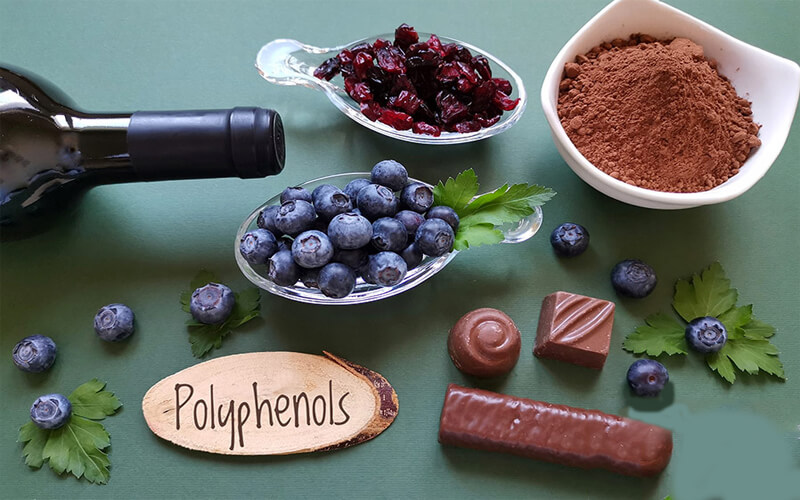 What are Polyphenols? Why does our body need polyphenols?