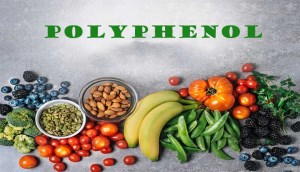 Polyphenol là gì? Vì sao cơ thể chúng ta cần polyphenol?