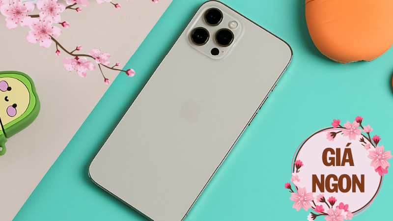 iPhone 12 Pro Max