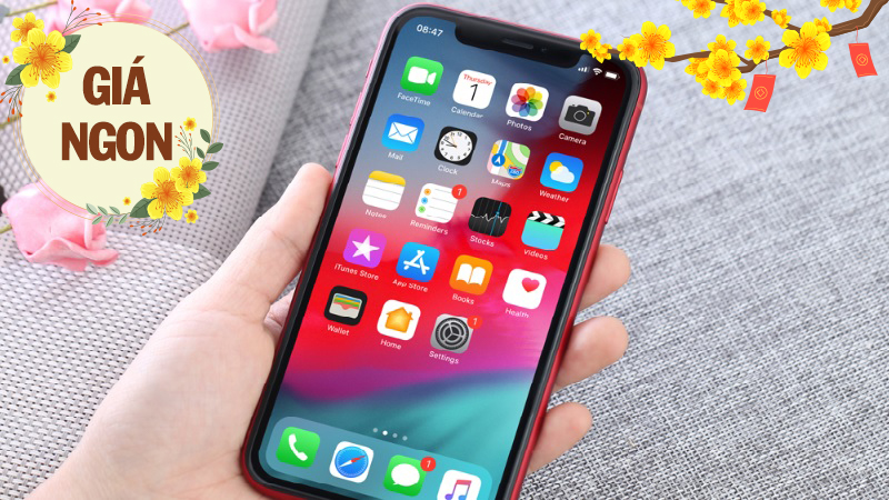 iPhone XR cũ iPhone XR cũ