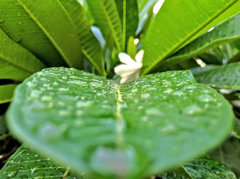 Cach-tai-Google-Camera-8-1-moi