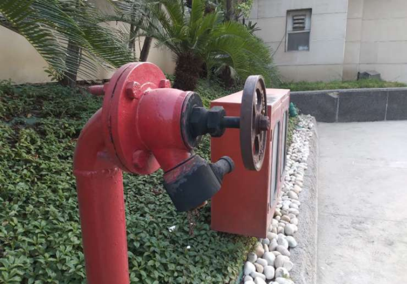 Ảnh chụp tự động trong điều kiện đầy đủ sáng trên Galaxy M02s. (Nguồn: IndiaTV).