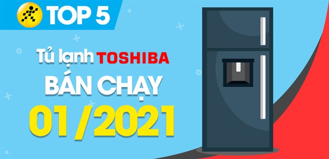 Top 5 Tủ lạnh Toshiba bán chạy nhất tháng 01/2021 tại Điện máy XANH
