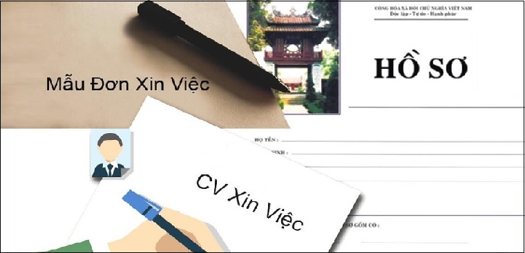 Bộ hồ sơ xin việc gồm những gì? Mua hồ sơ xin việc ở đâu?