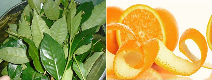 Bước 4: Sử dụng lá trà xanh hoặc vỏ cam để loại bỏ mùi hôi của tủ lạnh