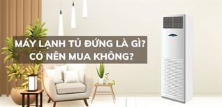 Điều hòa cây là gì? Có nên mua điều hòa cây không?