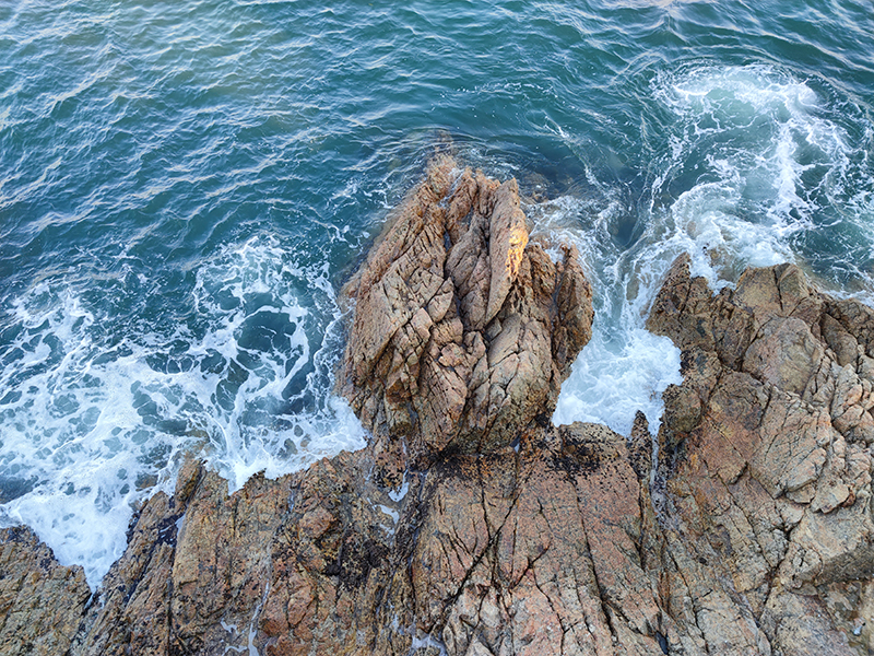 Camera chính Mi 11 cho ra những bức ảnh xuất sắc với đầy đủ chi tiết. (Nguồn: Gizmochina)