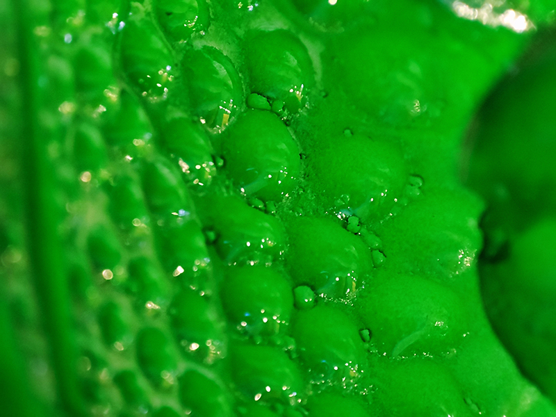 Ảnh chụp bằng ống kính tele macro của Xiaomi Mi 11. (Nguồn: Gizmochina)