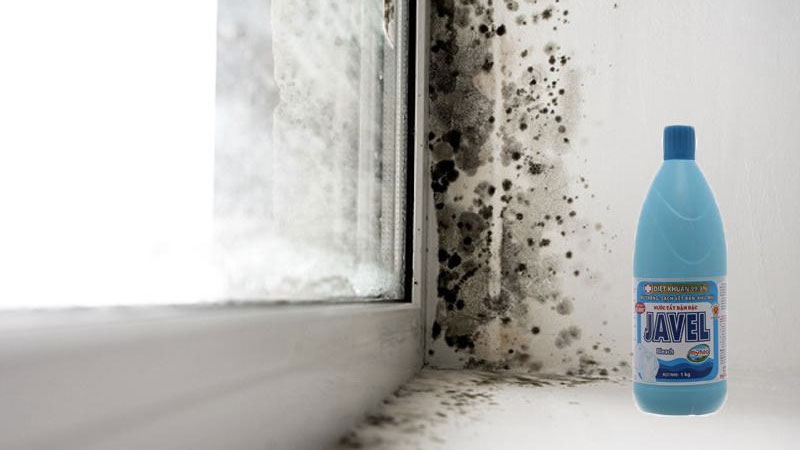 7 simple and quick ways to clean moldy walls
