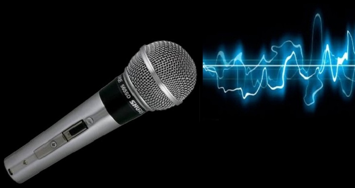 Giải mã những nguyên nhân khiến loa karaoke nhà bạn dễ bị cháy > Thường xuyên để micro hú
