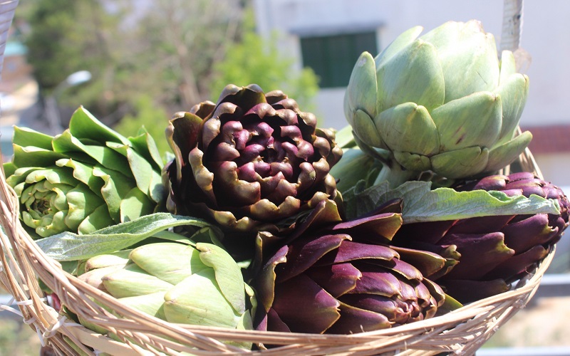 What is artichoke? Uses and how to use Artichoke