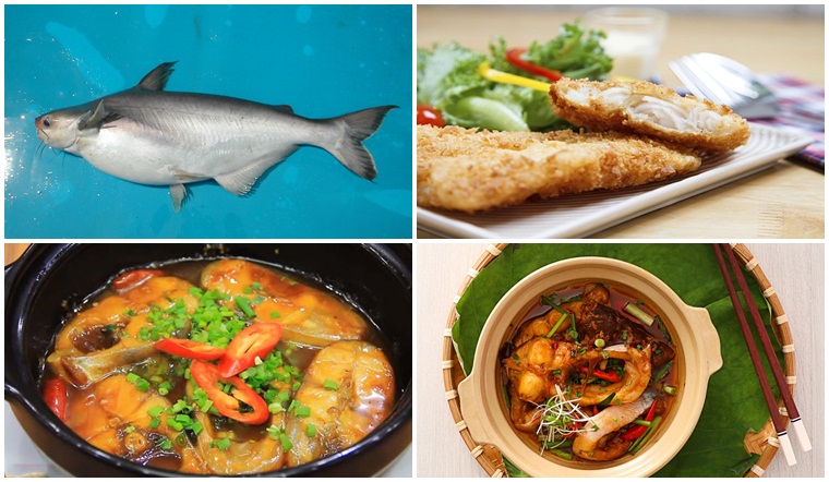 Cá hú là gì? Dinh dưỡng và lợi ích của cá hú với sức khỏe