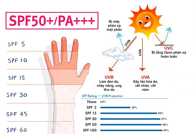 Chỉ số SPF