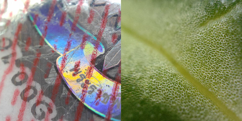 OPPO Find X3 Pro 12 OPPO Find X3 Pro 12