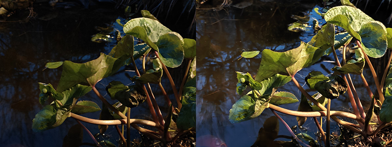 OPPO Find X3 Pro 15 OPPO Find X3 Pro 15