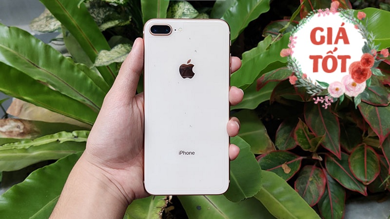 iPhone 8 Plus hàng đổi trả đã rẻ nay lại càng rẻ hơn với khuyến mãi giảm giá đến tiền triệu, sắm chứ bỏ lỡ tiếc lắm iPhone 8 Plus hàng đổi trả đã rẻ nay lại càng rẻ hơn với khuyến mãi giảm giá đến tiền triệu, sắm chứ bỏ lỡ tiếc lắm