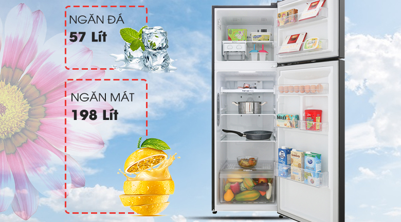 Tủ lạnh LG có tốt không? 10 lý do chọn mua tủ lạnh LG > Dung tích sử dụng 255 lít đáp ứng tốt cho 2 - 3 người sử dụng
