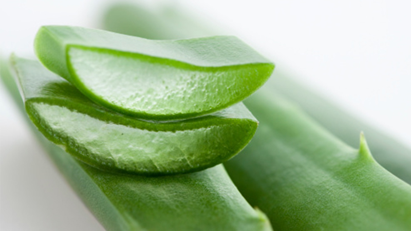 How to make aloe vera soaked in alcohol for skin care at home – the secret of Japanese women’s skin care