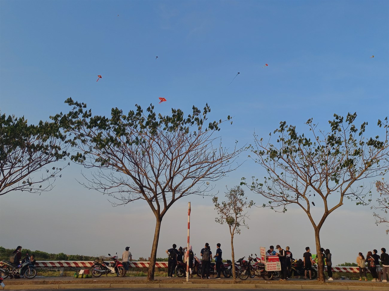 Ảnh chụp trong điều kiện đủ sáng.