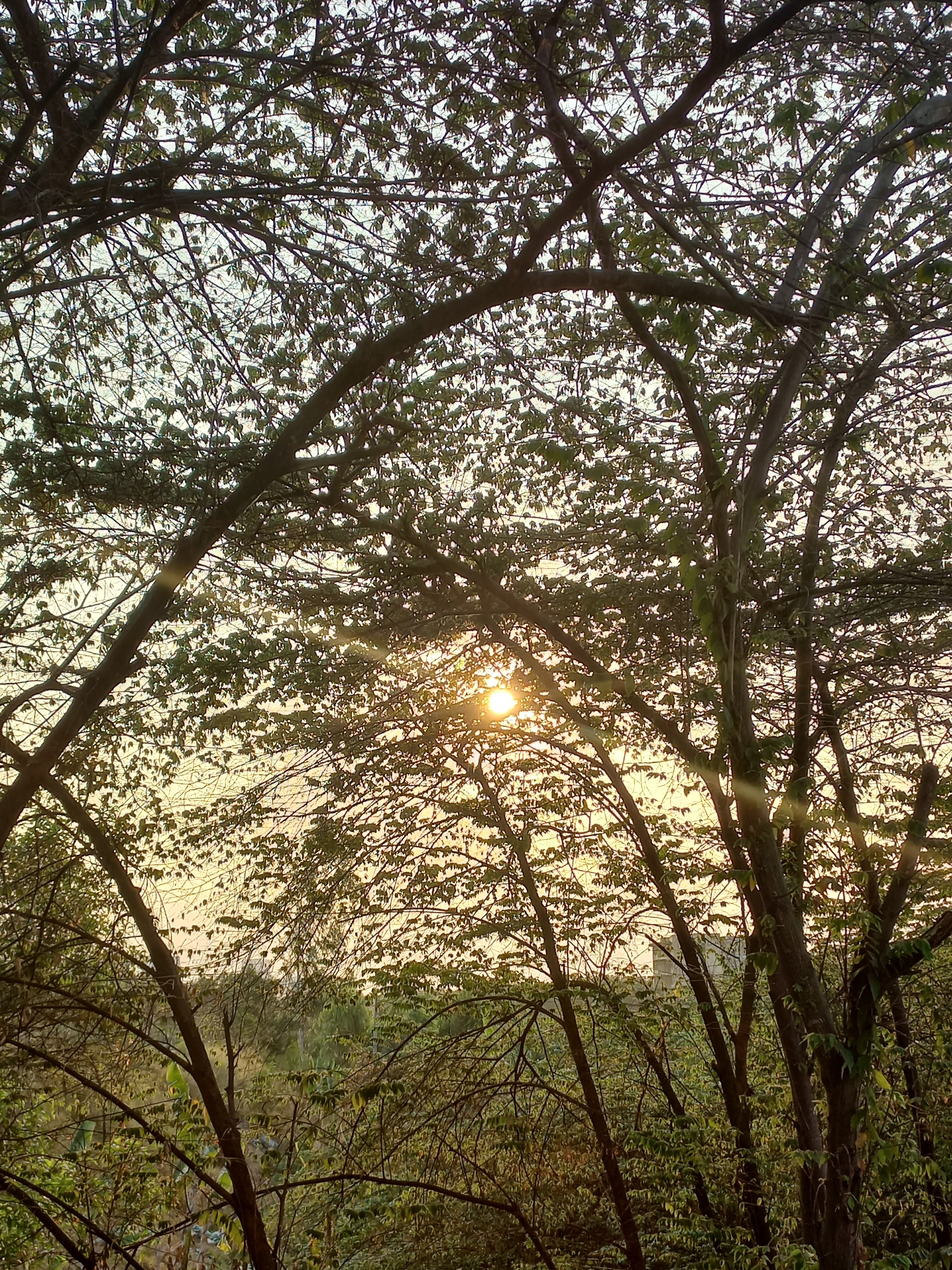 Ảnh chụp trong điều kiện ngược sáng.