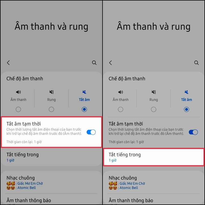 Chọn Tắt âm và chọn Bật/Tắt âm tạm thời