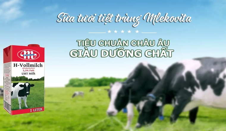 Sữa tươi tiệt trùng Mlekovita, nguồn dinh dưỡng tuyệt vời đối với sức khỏe