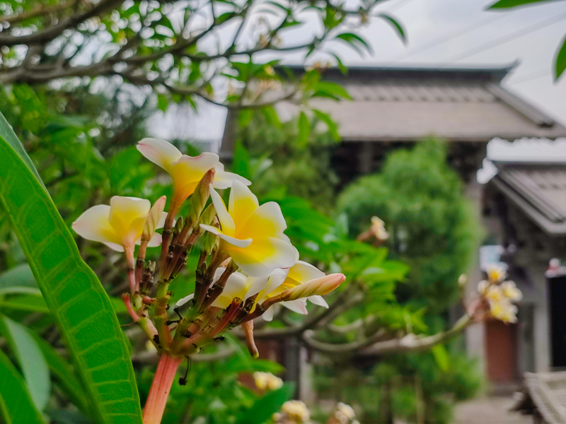 Đánh giá camera Xiaomi Redmi Note 10 Pro