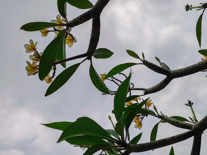 Đánh giá camera Xiaomi Redmi Note 10 Pro