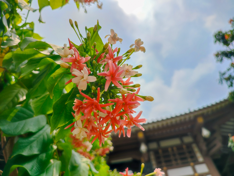 Đánh giá camera Xiaomi Redmi Note 10 Pro