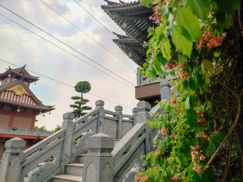 Đánh giá camera Xiaomi Redmi Note 10 Pro