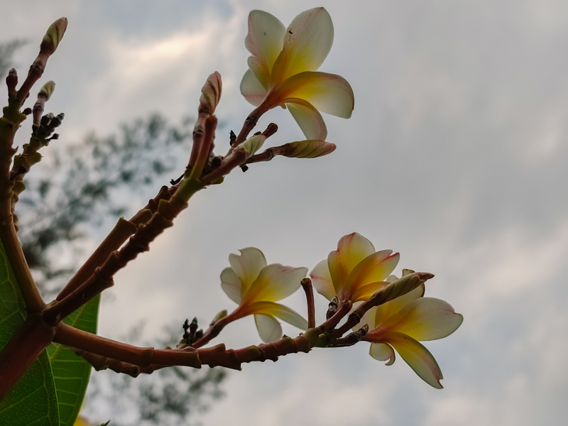 Đánh giá camera Xiaomi Redmi Note 10 Pro