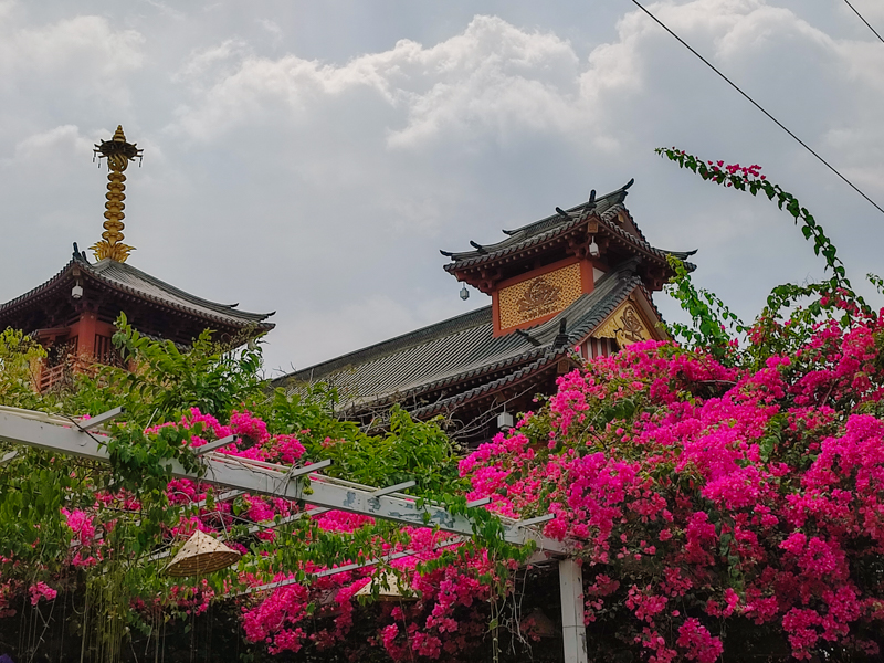 Đánh giá camera Xiaomi Redmi Note 10 Pro