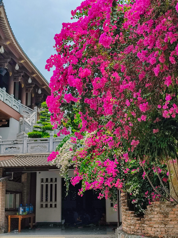 Đánh giá camera Xiaomi Redmi Note 10 Pro