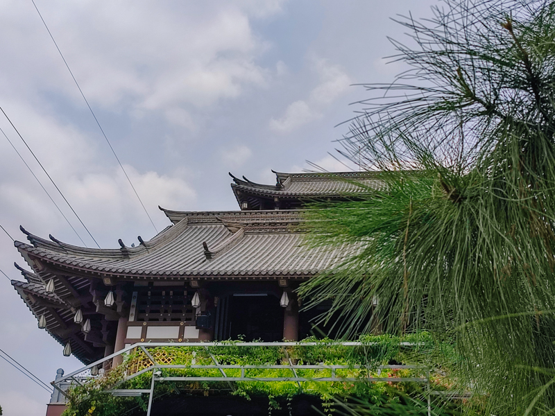 Đánh giá camera Xiaomi Redmi Note 10 Pro