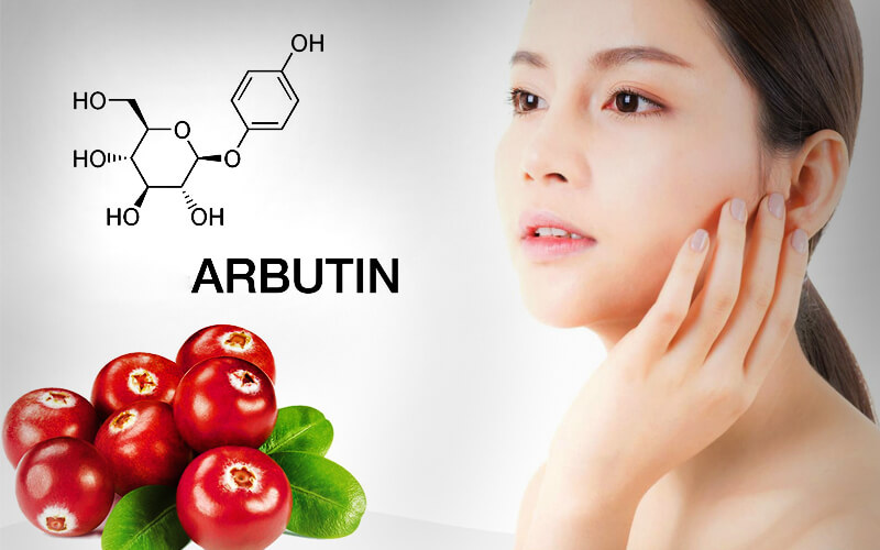 Arbutin là gì? Những điều bạn cần biết về Arbutin đối với làn da của bạn