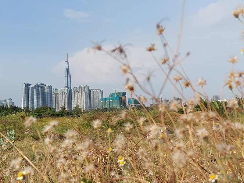 Đánh giá camera Samsung Galaxy A72 Đánh giá camera Samsung Galaxy A72