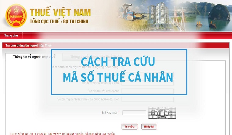 Cách tra cứu mã số thuế cá nhân mới nhất 2021