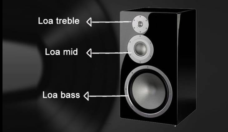 What is a treble speaker? Classification and role of treble speakers in sound