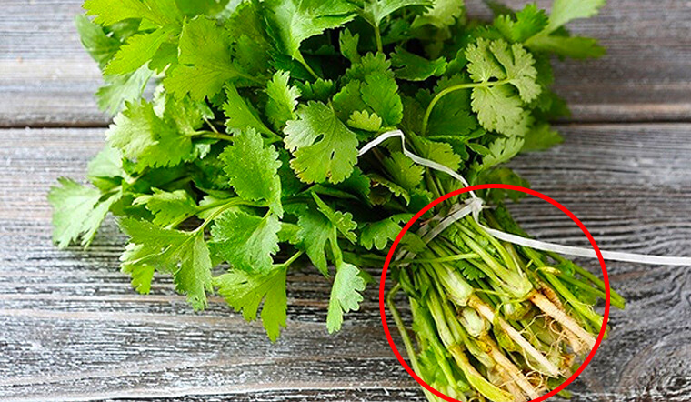 Bất ngờ với 4 loại rau có rễ "bổ như thuốc" mà hầu như ai cũng vứt đi