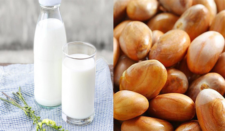 Cách làm sữa hạt mít thơm ngon giàu Vitamin