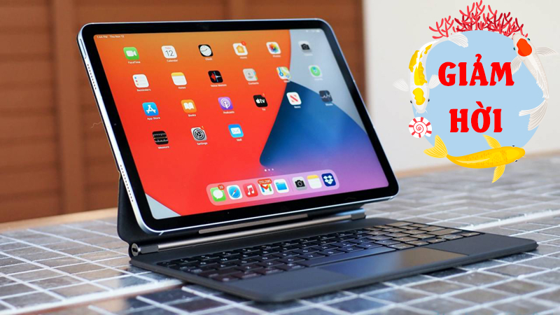 iPad iPad