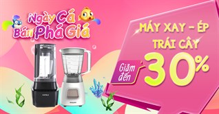 9 mẫu máy xay - ép trái cây giảm đến 30%, mua ngay kẻo lỡ!