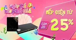 Ngày cá tháng 4, 9 mẫu bếp điện từ giảm đến 25%, có mẫu giảm đến 3 triệu