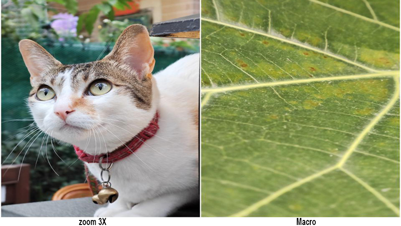 Đúng như những gì được giới thiệu, chỉ với một ống kính cho ra được hình ảnh zoom 3x và ảnh chụp cận cảnh macro Đúng như những gì được giới thiệu, chỉ với một ống kính cho ra được hình ảnh zoom 3x và ảnh chụp cận cảnh macro